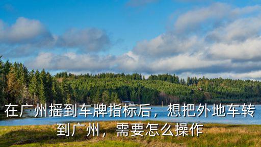 廣州指標(biāo)搖號(hào)怎么操作,在廣州搖到車牌指標(biāo)后