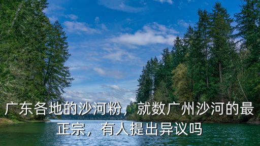廣東各地的沙河粉，就數廣州沙河的最正宗，有人提出異議嗎