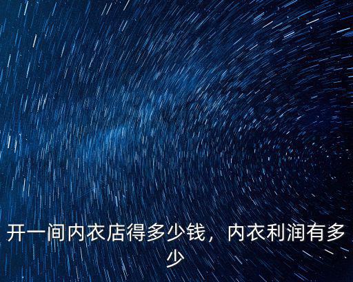 惠州內衣加盟價格多少,加盟一個內衣店多少錢