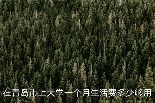 在青島市上大學一個月生活費多少夠用