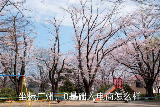 廣州新手怎么學(xué)做電商,想做電商創(chuàng)業(yè)