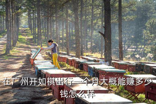 在廣州開如祺出行一個(gè)月大概能賺多少錢怎么樣