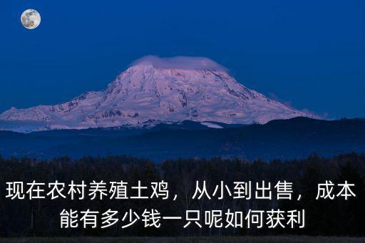 惠州腌雞多少錢一只,成本能有多少錢一只呢