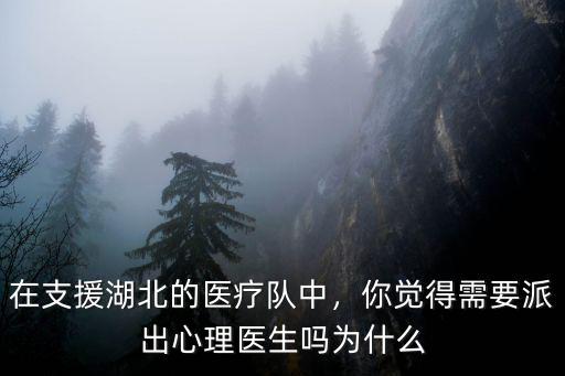 梅州支援湖北醫(yī)療隊(duì)總共多少人,在支援湖北的醫(yī)療隊(duì)中