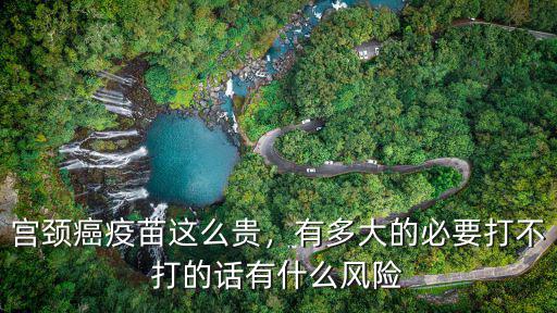 宮頸癌疫苗這么貴，有多大的必要打不打的話有什么風險