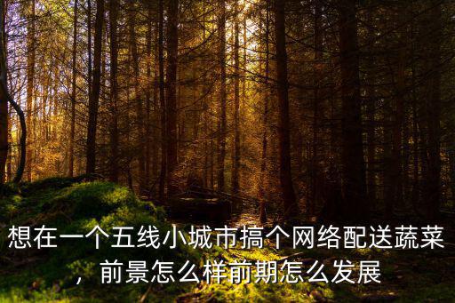 揭陽蔬菜配送怎么樣,在小縣城做蔬菜配送怎么樣
