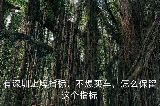 有深圳上牌指標，不想買車，怎么保留這個指標