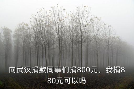 向武漢捐款同事們捐800元，我捐880元可以嗎