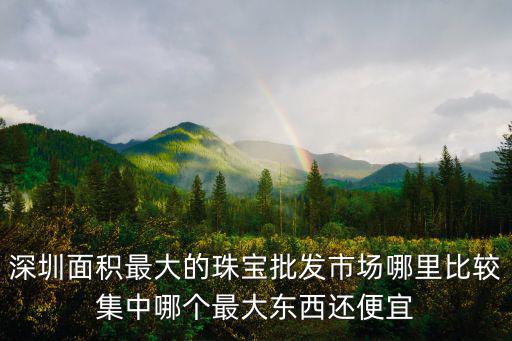深圳面積最大的珠寶批發市場哪里比較集中哪個最大東西還便宜