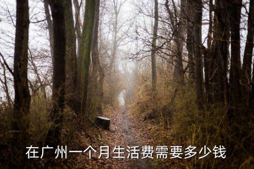 在廣州一個(gè)月生活費(fèi)需要多少錢