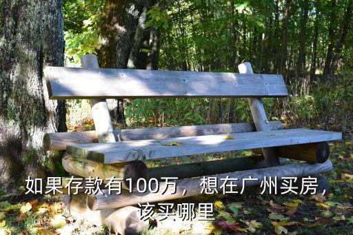 如果存款有100萬，想在廣州買房，該買哪里