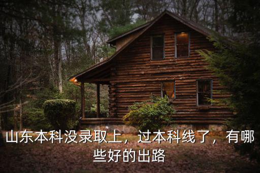 2020山東一本滑檔有多少人,2018山東高考有多少人