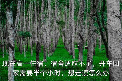 陽江怎么辦走讀,想走讀怎么辦