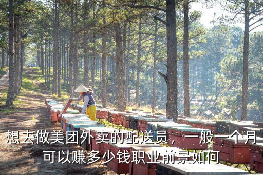 想去做美團外賣的配送員，一般一個月可以賺多少錢職業前景如何