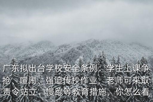 廣東擬出臺學校安全條例：學生上課爭搶、喧鬧、強迫傳抄作業，老師可采取責令站立、慢跑等教育措施，你怎么看