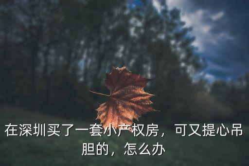 在深圳買了一套小產(chǎn)權(quán)房，可又提心吊膽的，怎么辦
