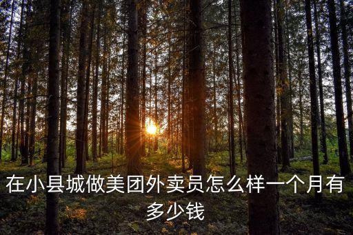 在小縣城做美團外賣員怎么樣一個月有多少錢