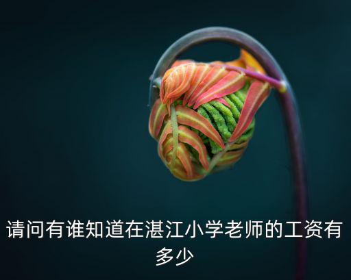 請問有誰知道在湛江小學(xué)老師的工資有多少