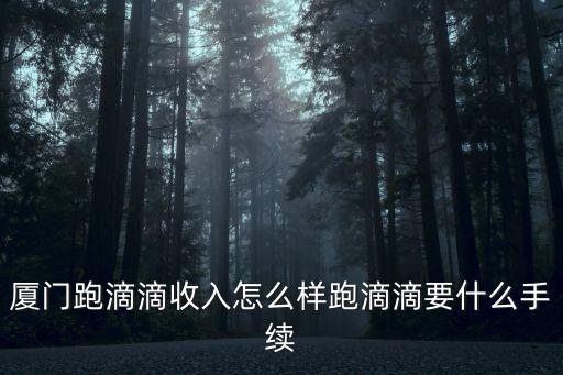 廈門跑滴滴收入怎么樣跑滴滴要什么手續