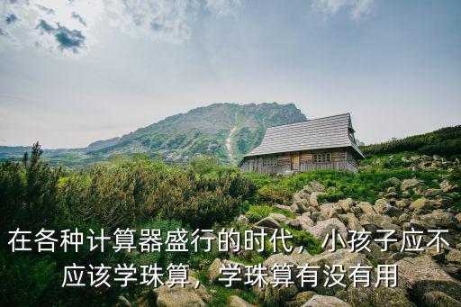 在各種計算器盛行的時代，小孩子應不應該學珠算，學珠算有沒有用