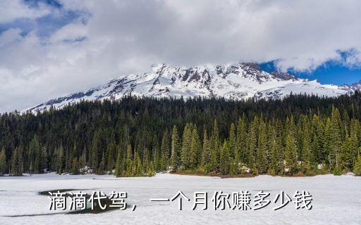 滴滴代駕，一個月你賺多少錢