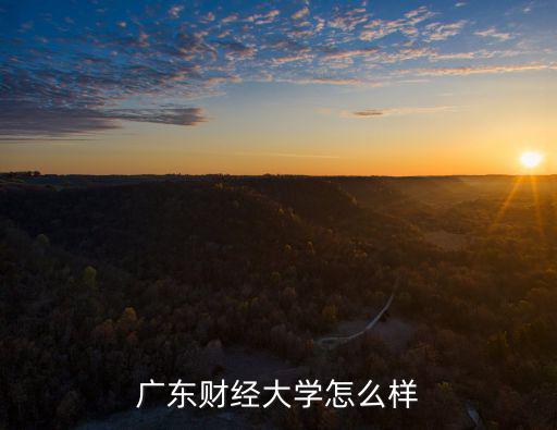 廣東三思得怎么樣,廣東財經大學怎么樣