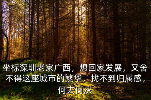 坐標深圳老家廣西，想回家發展，又舍不得這座城市的繁華，找不到歸屬感，何去何從