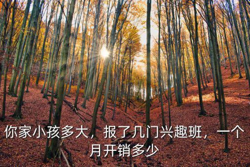 山東興趣班素描多少錢,你為孩子的興趣班花過多少錢