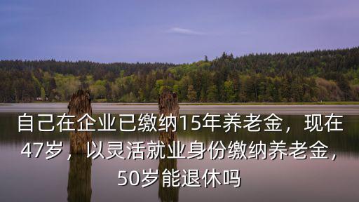 杭州靈活就業50歲退休工資多少,以靈活就業身份繳納養老金