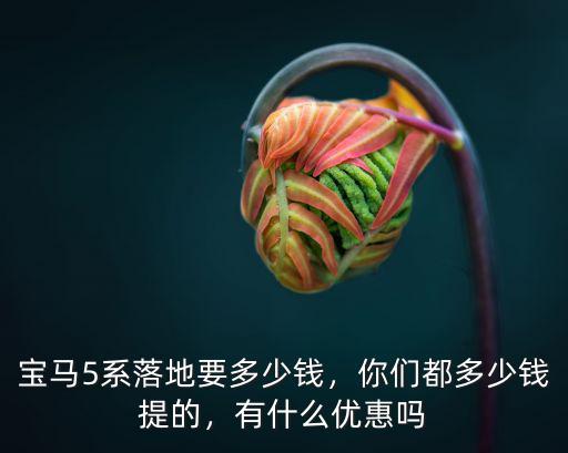 深圳19款寶馬525落地多少錢,寶馬525落地價多少錢
