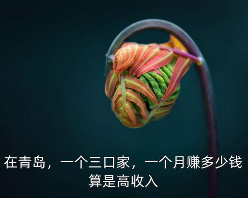 在青島，一個(gè)三口家，一個(gè)月賺多少錢算是高收入
