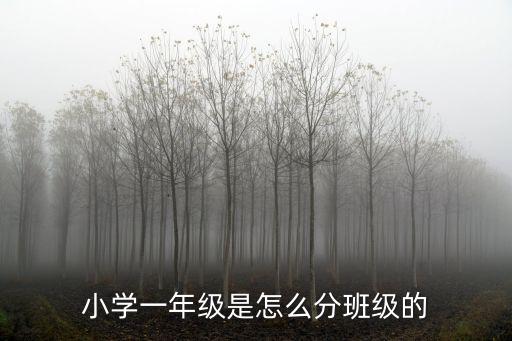 深圳小學分班是怎么個分,小學一年級一般怎么分班