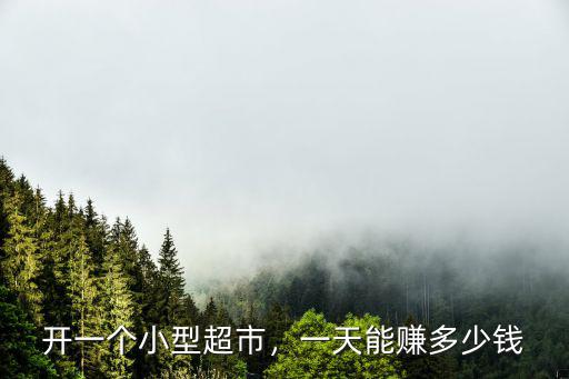 寧波開超市能賺多少錢,一年能賺多少錢