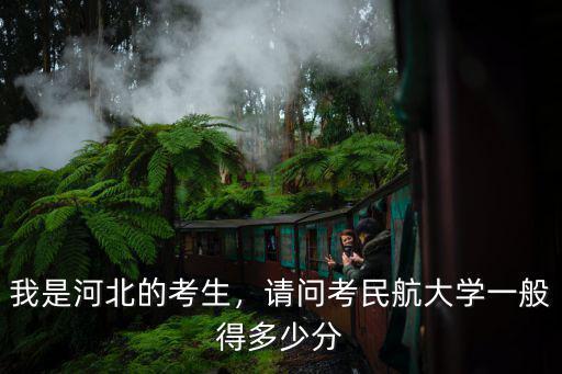煙臺民航大學需要多少分,請問考民航大學一般得多少分