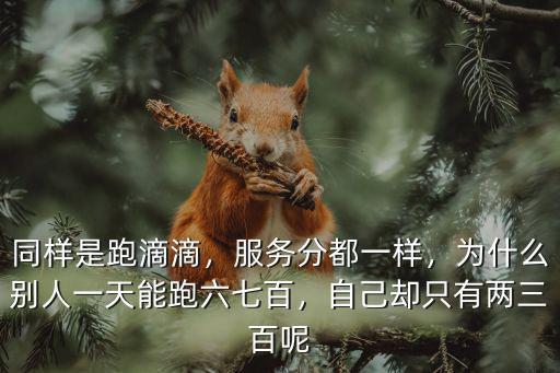 聊城跑滴滴服務分多少,同樣是跑滴滴