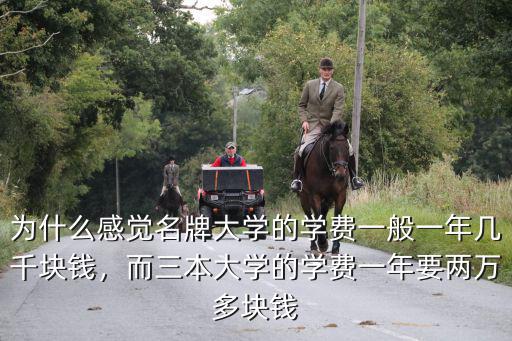 為什么感覺(jué)名牌大學(xué)的學(xué)費(fèi)一般一年幾千塊錢(qián)，而三本大學(xué)的學(xué)費(fèi)一年要兩萬(wàn)多塊錢(qián)