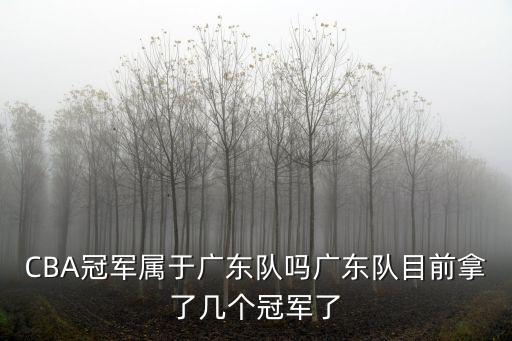 廣東隊徐杰拿多少冠軍,廣東隊目前拿了幾個冠軍了