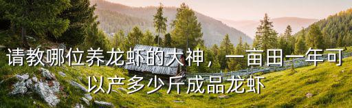 山東一畝龍蝦可產多少錢,正常一畝田能產多少斤龍蝦