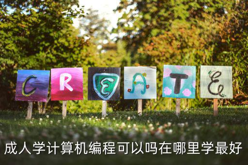 珠海哪里有學成人編程的,在哪里學最好