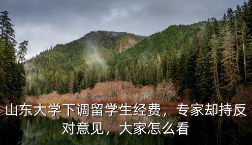 山東大學外國留學生多少人,山東大學下調留學生經費