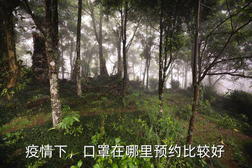 疫情下，口罩在哪里預約比較好