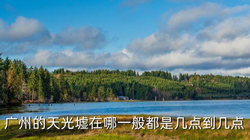 廣東哪里有天光墟,廣州的天光墟是什么