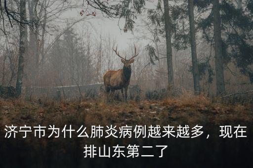 濟寧市為什么肺炎病例越來越多，現在排山東第二了
