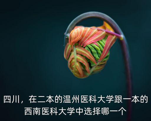 四川，在二本的溫州醫(yī)科大學(xué)跟一本的西南醫(yī)科大學(xué)中選擇哪一個(gè)