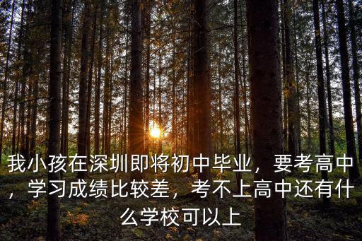 深圳高中報考不上怎么辦,深圳中考落榜怎么辦
