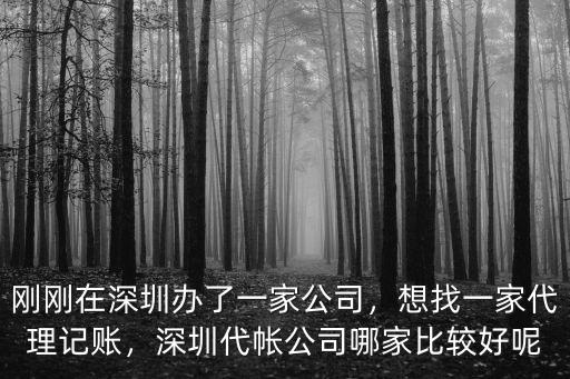 深圳注冊公司代理記賬哪里好,想找一家代理記賬