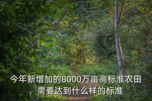 山東多少畝高標準農田,鎮政府征收農田多少錢一畝
