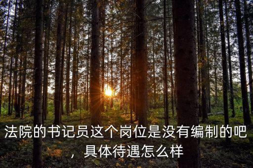 法院的書記員這個(gè)崗位是沒有編制的吧，具體待遇怎么樣