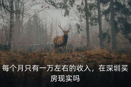 深圳買房一般月收入多少,在深圳家庭月收入4萬以上