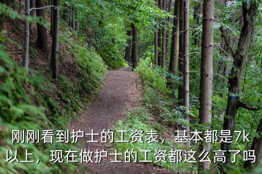剛剛看到護士的工資表，基本都是7k以上，現在做護士的工資都這么高了嗎